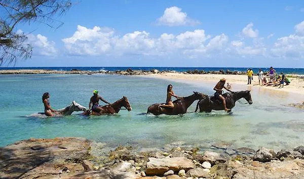 Ocho Rios Under The Palms 빌라