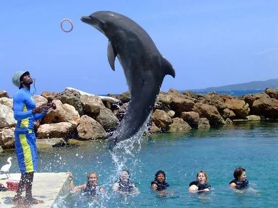 Ocho Rios Under The Palms 빌라