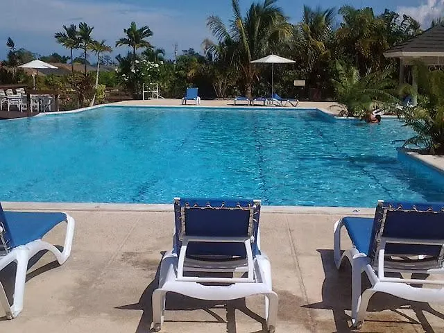 Ocho Rios Under The Palms 빌라