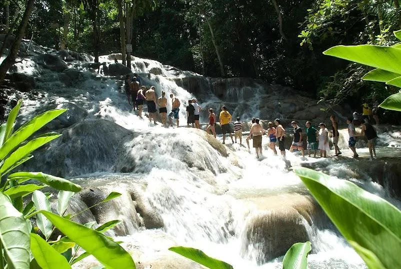 Ocho Rios Under The Palms 빌라