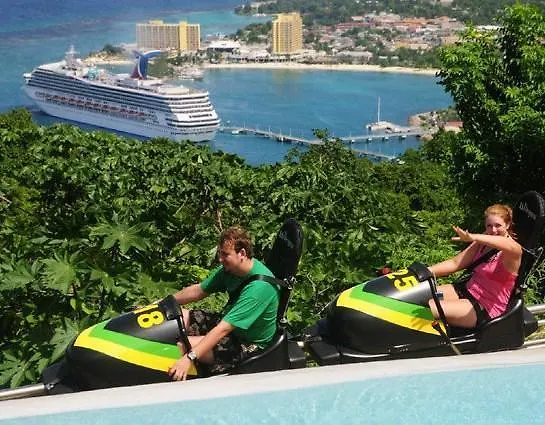 Ocho Rios Under The Palms 빌라
