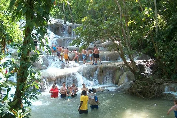 Vila Ocho Rios Under The Palms Jamajka